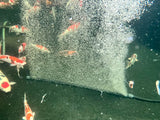 Tornado AirStorm Bubble Curtains