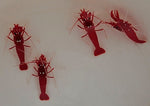 Fire Shrimp (Lysmata Debelius) - Blue Touch Aquatics
