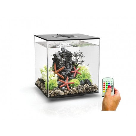 Biorb Cube 30 Black Aquarium MCR LED - Blue Touch Aquatics