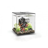 Biorb Cube 30 Black Aquarium Standard LED - Blue Touch Aquatics