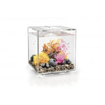 Biorb Cube 30 Clear Aquarium Standard LED - Blue Touch Aquatics