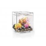 Biorb Cube 30 Clear Aquarium Standard LED - Blue Touch Aquatics