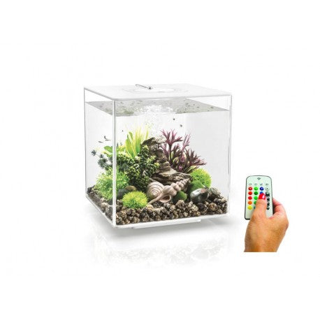 Biorb Cube 30 White Aquarium MCR LED - Blue Touch Aquatics