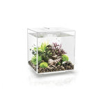 Biorb Cube 30 White Aquarium Standard LED - Blue Touch Aquatics