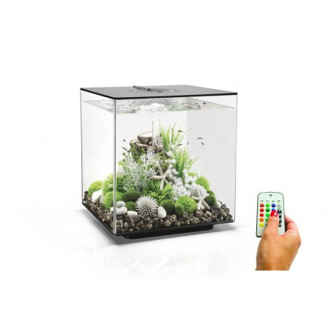 Biorb Cube 60 Black Aquarium MCR LED - Blue Touch Aquatics