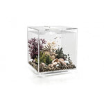 Biorb Cube 60 Clear Aquarium MCR LED - Blue Touch Aquatics