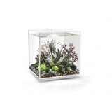 Biorb Cube 60 White Aquarium Standard LED - Blue Touch Aquatics