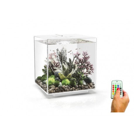 Biorb Cube 60 White Aquarium MCR LED - Blue Touch Aquatics